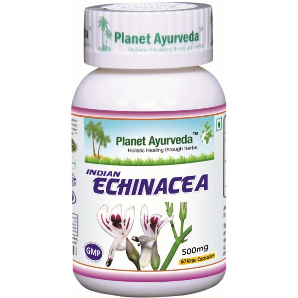 Indická Echinacea kapsule 500mg 60kps