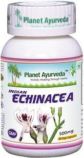 Indická Echinacea kapsule 500mg 60kps